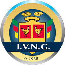 I.V.N.G. S.p.A.