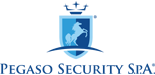 PEGASO SECURITY S.R.L.